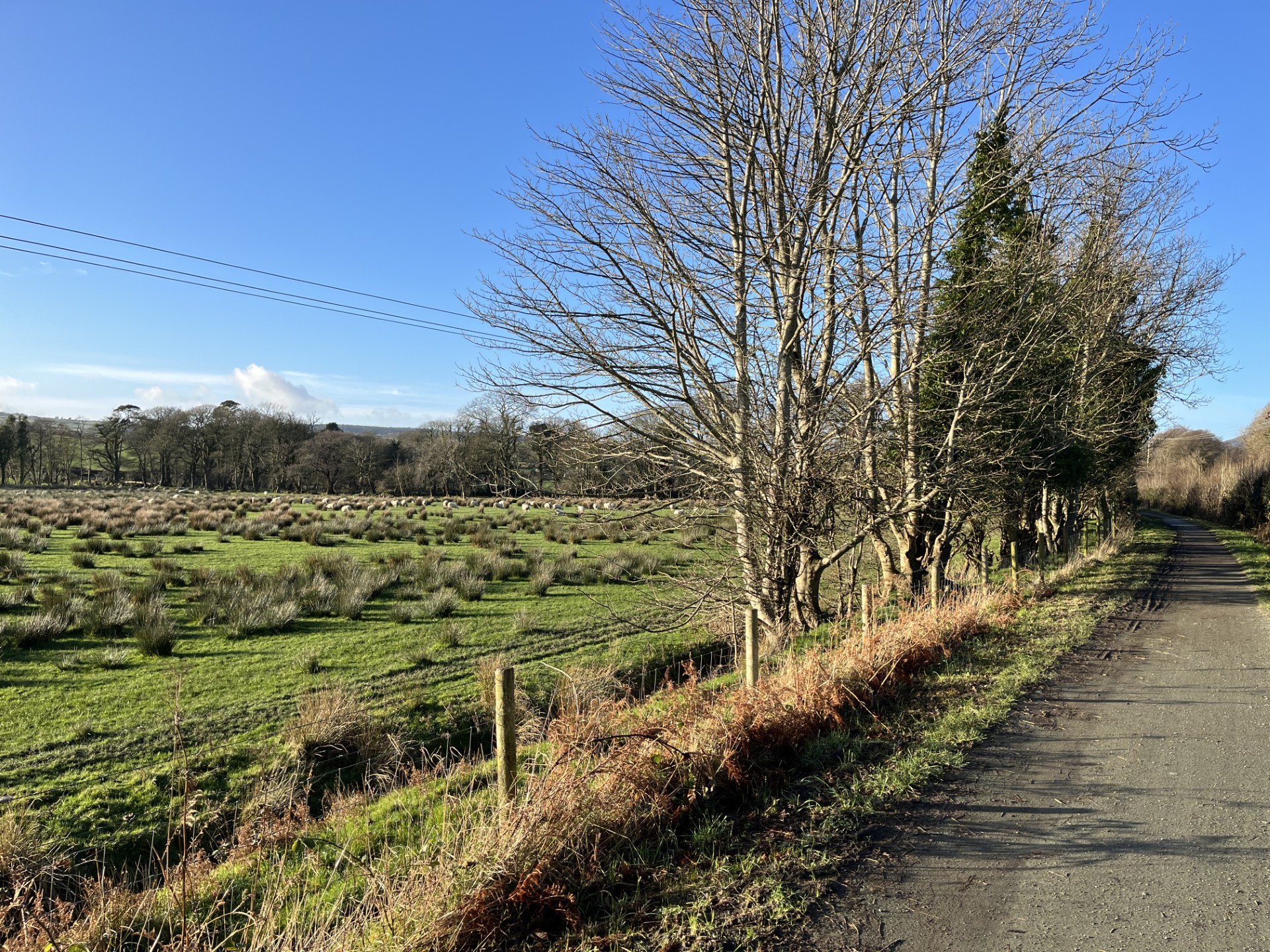 farm road